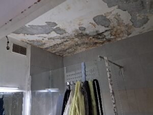 photo rénovation logement